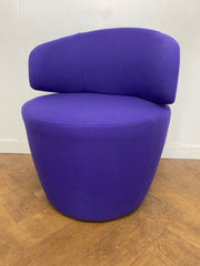 Used Purple Cloth Tub Chairs