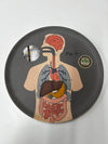 Set of 6 Bamboo Fibre Anatomical Plates "Life of Jay"