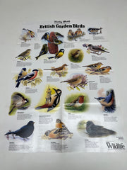 A Full Set of 14 Nature Posters from the Daily Mail Published by Collins in the 1980's