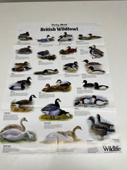 A Full Set of 14 Nature Posters from the Daily Mail Published by Collins in the 1980's