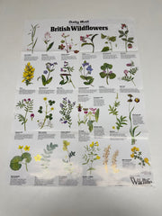 A Full Set of 14 Nature Posters from the Daily Mail Published by Collins in the 1980's