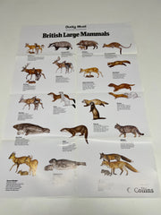A Full Set of 14 Nature Posters from the Daily Mail Published by Collins in the 1980's