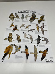 A Full Set of 14 Nature Posters from the Daily Mail Published by Collins in the 1980's