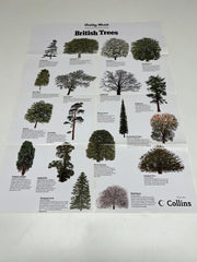A Full Set of 14 Nature Posters from the Daily Mail Published by Collins in the 1980's