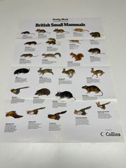 A Full Set of 14 Nature Posters from the Daily Mail Published by Collins in the 1980's