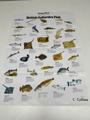 A Full Set of 14 Nature Posters from the Daily Mail Published by Collins in the 1980's