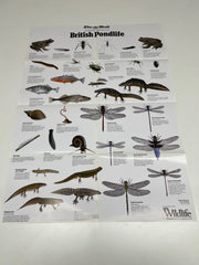 A Full Set of 14 Nature Posters from the Daily Mail Published by Collins in the 1980's