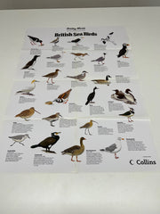 A Full Set of 14 Nature Posters from the Daily Mail Published by Collins in the 1980's
