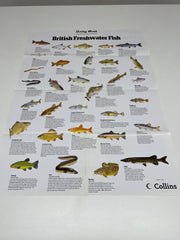 A Full Set of 14 Nature Posters from the Daily Mail Published by Collins in the 1980's