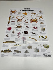 A Full Set of 14 Nature Posters from the Daily Mail Published by Collins in the 1980's