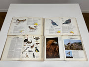 The Encyclopaedia of Birds by Orbis 1977 (91 x Editions)