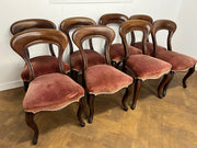 A Set of 8 Victorian Mahogany Hoop Back Dining Chairs with Cabriole Legs