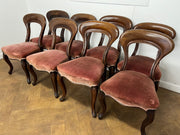 A Set of 8 Victorian Mahogany Hoop Back Dining Chairs with Cabriole Legs